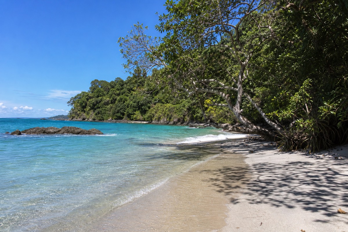 Manuel Antonio National Park: The Complete Guide