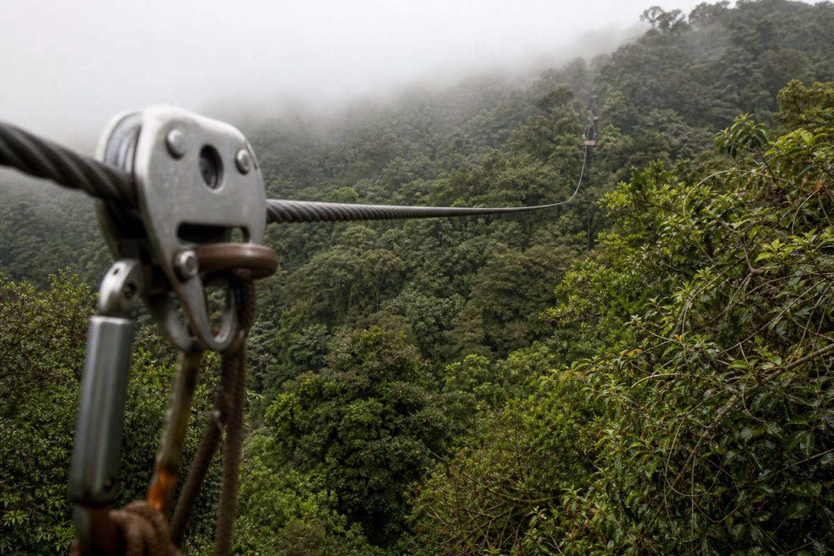 A canopy zipline run through the cloud forest