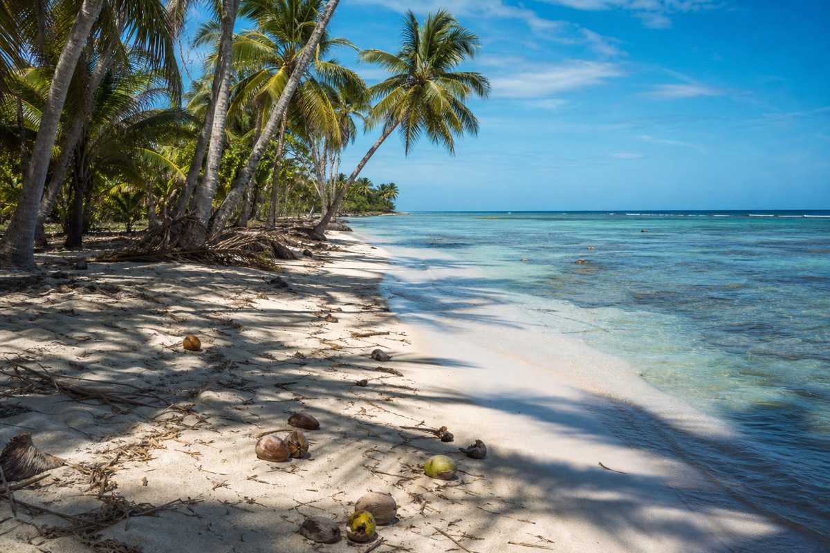Puerto Viejo and the Caribbean Coast: A Travel Guide