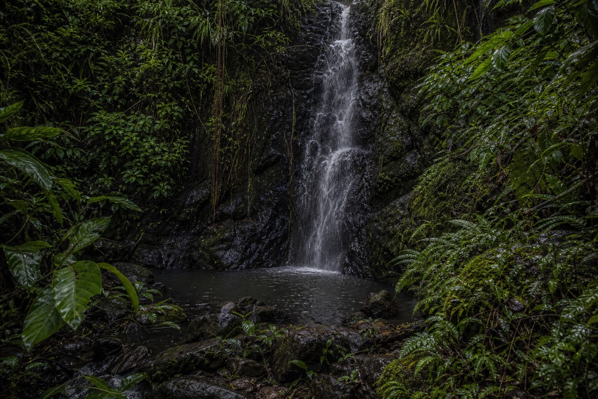 Costa Rica's rainforest and coast