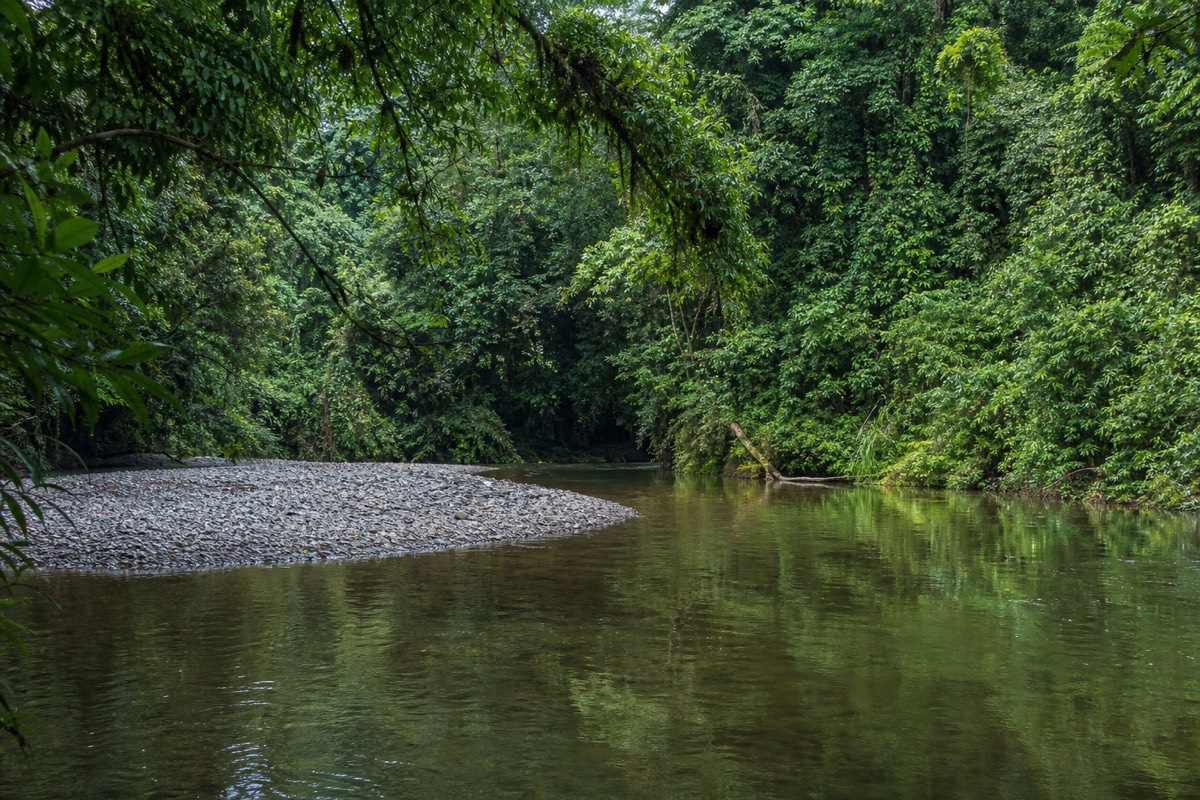 Costa Rica's rainforest and coast