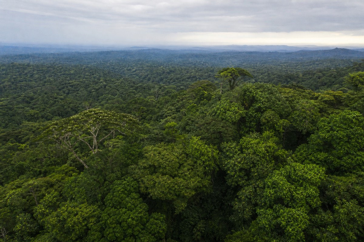 Costa Rica's rainforest and coast
