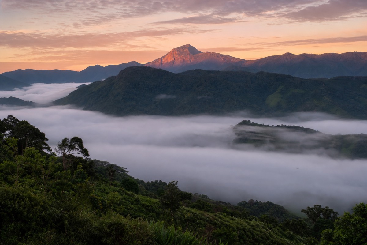 Costa Rica's rainforest and coast