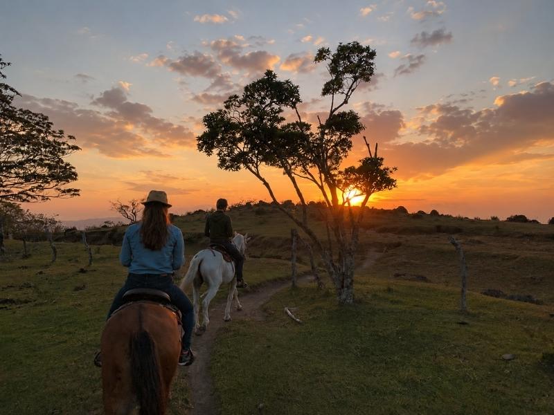 Costa Rica Quest – Adventure & Wildlife Experience